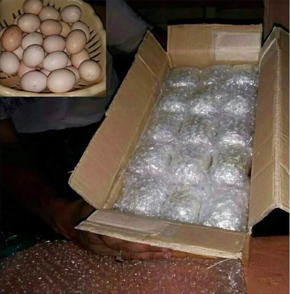 Serama hatching eggs in foam shipper - $65 dozen fertile eggs for sale