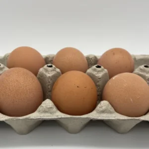 Brown Egger™ Hatching Eggs